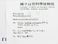 登錄號:F0011216藏品圖，第2張