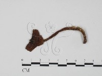 登錄號:F0011218藏品圖，第1張