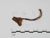 登錄號:F0011218藏品圖，第3張