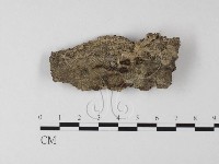 登錄號:F0011219藏品圖，第1張