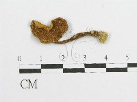 登錄號:F0011220藏品圖，第1張