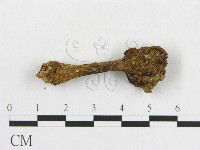 登錄號:F0011221藏品圖，第1張