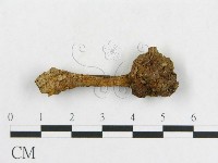 登錄號:F0011221藏品圖，第3張