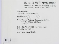 小皮傘屬藏品圖，第2張