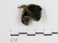 登錄號:F0011226藏品圖，第3張