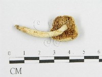 登錄號:F0011227藏品圖，第1張