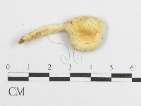 登錄號:F0011227藏品圖，第3張