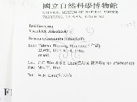 登錄號:F0011229藏品圖，第2張