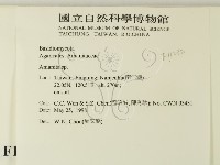 鵝膏屬藏品圖，第2張