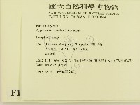 登錄號:F0011233藏品圖，第2張