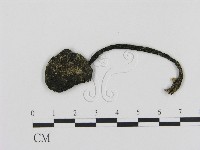 登錄號:F0011233藏品圖，第1張