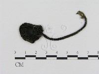 登錄號:F0011233藏品圖，第3張