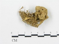 登錄號:F0011235藏品圖，第1張