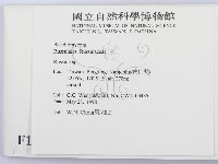 紅菇屬藏品圖，第2張