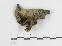 登錄號:F0011241藏品圖，第1張