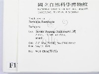 紅菇屬藏品圖，第2張
