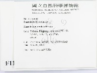 登錄號:F0011244藏品圖，第2張