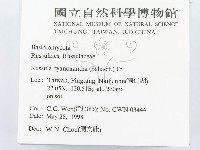 登錄號:F0011245藏品圖，第2張