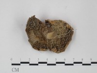 登錄號:F0011246藏品圖，第3張