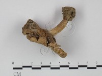 登錄號:F0011246藏品圖，第4張