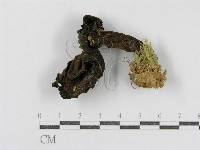 登錄號:F0011249藏品圖，第1張