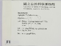 登錄號:F0011250藏品圖，第2張