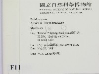 小菇屬藏品圖，第2張