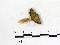 登錄號:F0011255藏品圖，第1張
