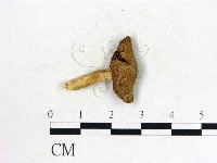 登錄號:F0011255藏品圖，第3張