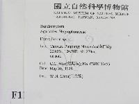 登錄號:F0011256藏品圖，第2張