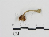 登錄號:F0011256藏品圖，第3張