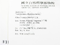 登錄號:F0011259藏品圖，第2張