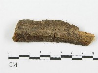登錄號:F0011259藏品圖，第1張