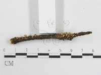 登錄號:F0011260藏品圖，第3張