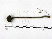 登錄號:F0011262藏品圖，第1張