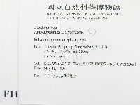 登錄號:F0011264藏品圖，第2張