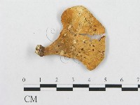 登錄號:F0011264藏品圖，第1張