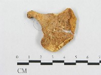 登錄號:F0011264藏品圖，第3張