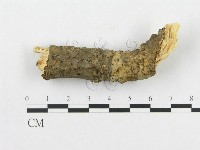登錄號:F0011265藏品圖，第1張