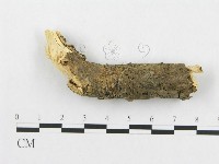 登錄號:F0011265藏品圖，第4張