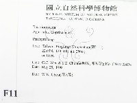 登錄號:F0011270藏品圖，第2張