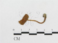 登錄號:F0011270藏品圖，第1張