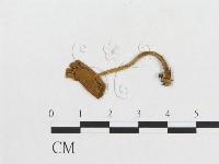 登錄號:F0011270藏品圖，第3張