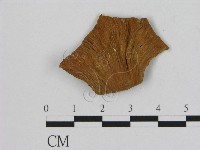 登錄號:F0011272藏品圖，第1張