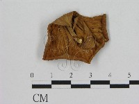 登錄號:F0011272藏品圖，第3張