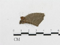 登錄號:F0011274藏品圖，第1張