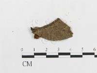 登錄號:F0011274藏品圖，第3張