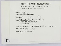 小菇屬藏品圖，第2張