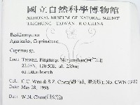鬼傘屬藏品圖，第2張