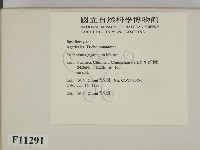 登錄號:F0011291藏品圖，第2張